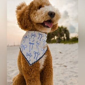 Stella & Oscar Ocean Knot Bandana
